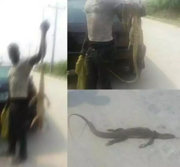 People, please be vigilant! See the animal killed in Lekki, Lagos (photos)